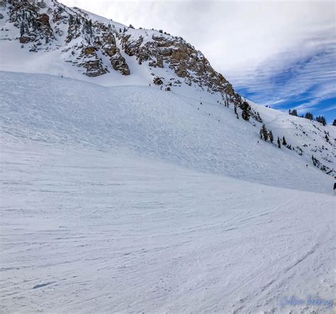 Why Alta Ski Resort Is the Best Ski Resort in Utah