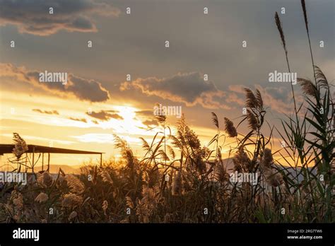 Scenic sunset background wallpaper Stock Photo - Alamy