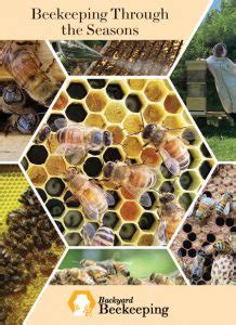 Beekeeping Through the Seasons - Backyard Beekeeping