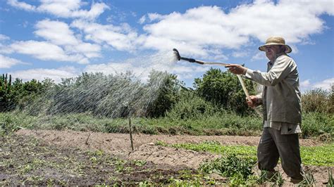 Irrigation Systems and Importance in Farming