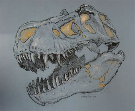 t rex skeleton tattoo - Google Search | Dinosaur drawing, Dinosaur illustration, Animal drawings