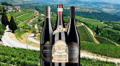 Amarone Della Valpolicella (Winemaking, Best Wines, Prices 2021)