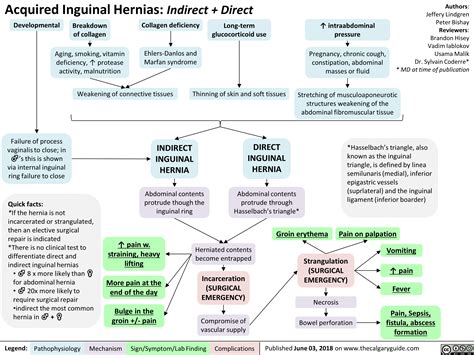 Acquired Inguinal Hernias: Indirect + Direct | Calgary Guide