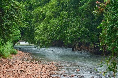 Sanjay Gandhi National Park Mumbai - Timings, Fees & History