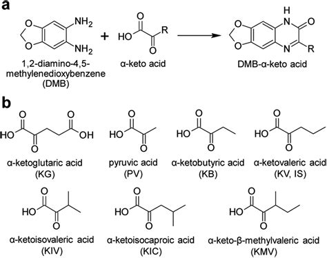 Analysis of intracellular α-keto acids by HPLC with fluorescence ...