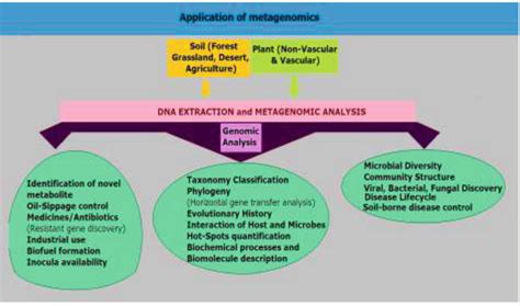 Soil Metagenomics: Prospects and Challenges | IntechOpen