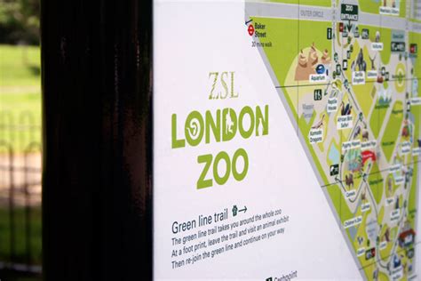 ZSL London Zoo — Squad