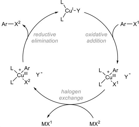 Finkelstein Reaction Mechanism - Chemsolve Net Define Finkelstein ...