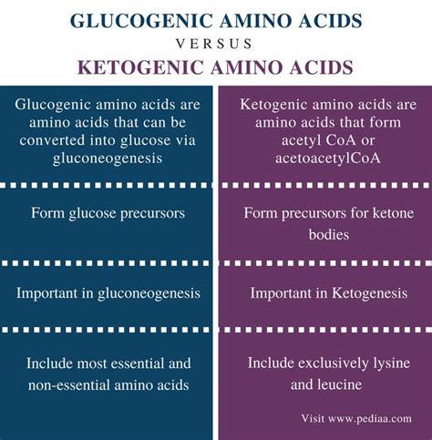 two types of ketogenic and glycogenic acids are shown