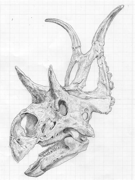 Diabloceratops Pictures & Facts - The Dinosaur Database