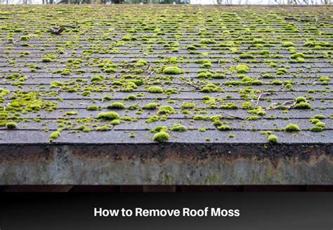 The Easiest Way to Remove Moss from a Roof