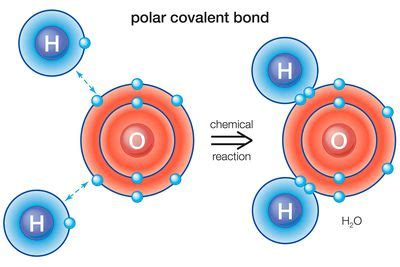 Nonpolar Molecule Definition and Examples