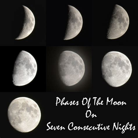 Phases of the Moon | on seven consecutive nights | Roger Lynn | Flickr