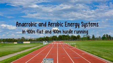 Anaerobic and Aerobic Energy System by Haylee Champagne on Prezi