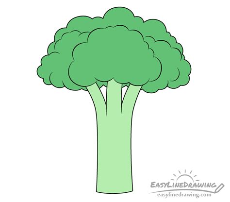 Broccoli Drawing