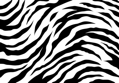 White Tiger Stripes 148777 Vector Art at Vecteezy