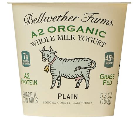 A2 Organic Whole Milk Yogurt - Bellwether Farms