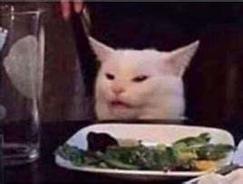 Cat At Dinner Table Meme Template - img-omnom