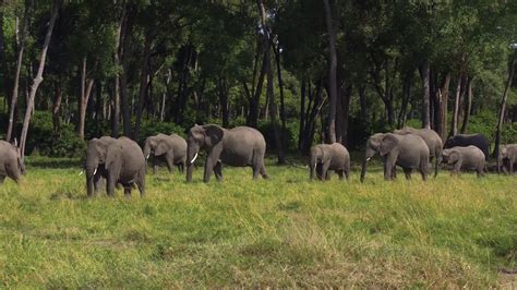 Amboseli National Park Safari - Redroad Tours