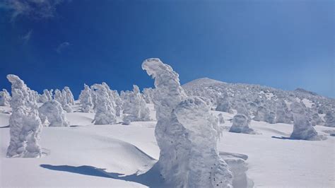 Furano in the winter is packed full of exciting activities! | WAmazing Snow