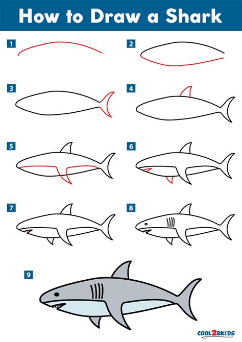 How to Draw a Shark - Cool2bKids