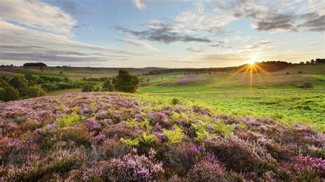 English Countryside Wallpapers - Wallpaper Cave | Countryside wallpaper ...