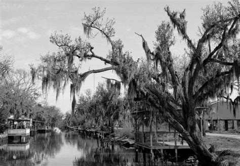 plaquemines parish | Tumblr | Plaquemines parish, Parish, Historical photos