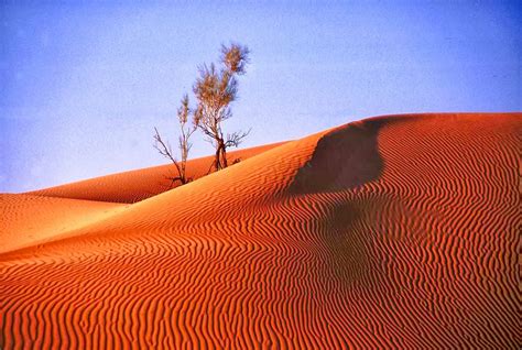 Rub al-khali desert,Arabian Peninsula: | Passions For Life