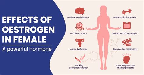 Effects of oestrogen in female | Health Tips