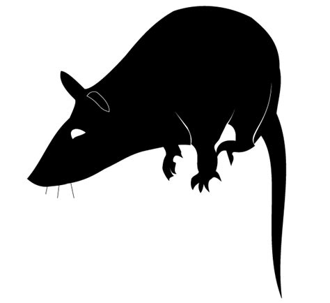 Free Rat Silhouette, Download Free Rat Silhouette png images, Free ...