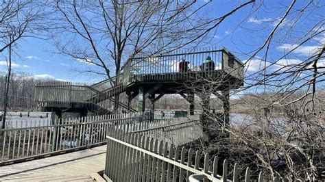 An Easy Wetlands Hike at Huntley Meadows Park in Alexandria