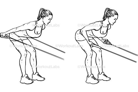 Resistance Band Tricep Kickbacks – WorkoutLabs Exercise Guide