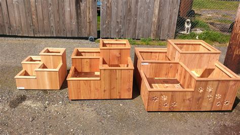 Cedar Garden Boxes Missoula at Pamela Paras blog