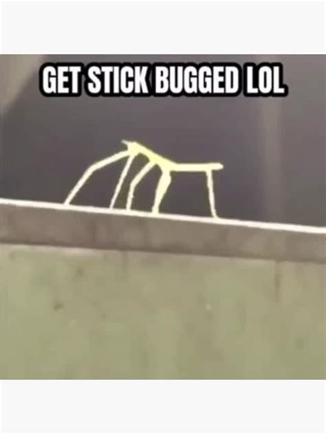 "Get Stick Bugged Lol" Sticker for Sale by DanielShoeBox | Redbubble