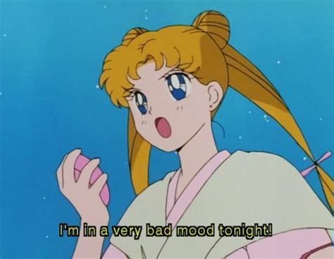 80+ Relatable Sailor Moon Memes For True Fans – FandomSpot