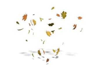 Leaves Blowing | 3D Animated Clipart for PowerPoint - PresenterMedia.com