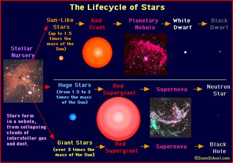 The Life Cycle of a Star - Astronomy - Enchanted Learning