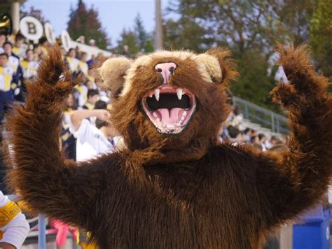 Top 10 most common high school mascots | USA TODAY High School Sports