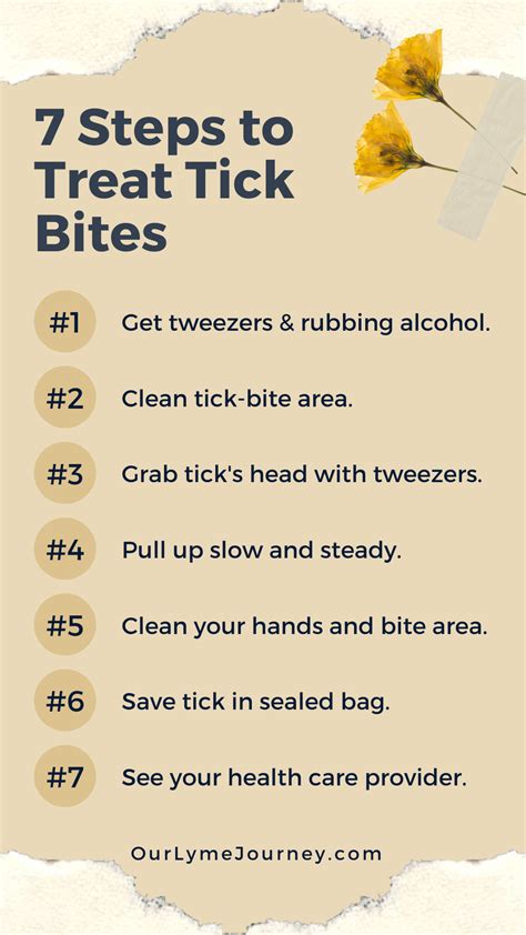 How to Treat Tick Bites in Seven Easy Steps - Never Alone