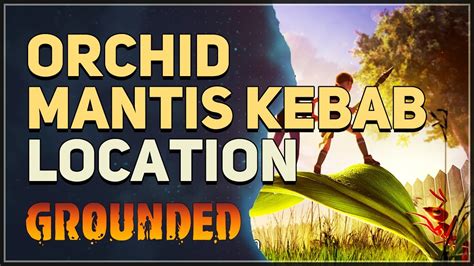 Orchid Mantis Kebab Location Grounded - YouTube