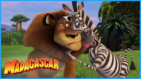 Madagascar Alex Marty