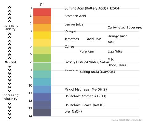 The Alkaline Diet: A Brief Overview • Dan Sharp