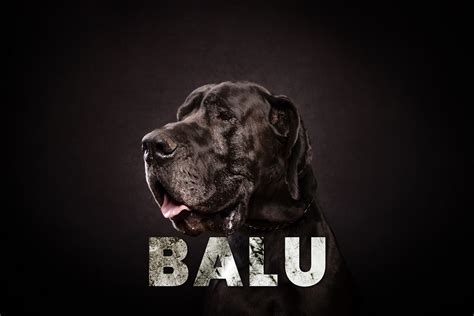 BALU on Behance