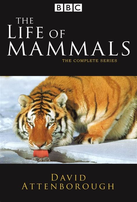 The Life of Mammals (TV Series 2002-2003) - Posters — The Movie ...