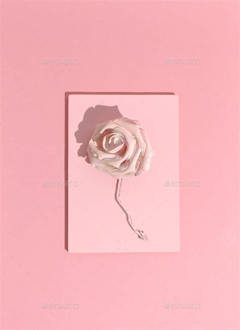 Minimal aesthetic still life monochrome design. Pastel pink colours ...