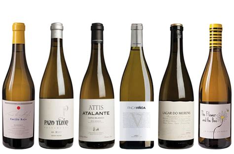 Northern Spanish white wines: Panel tasting results