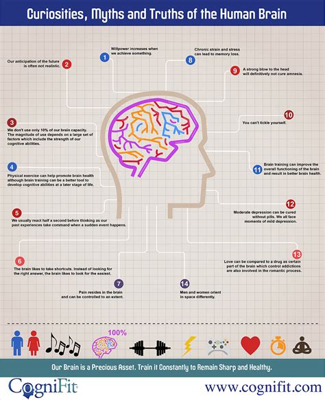 INFOGRAFIC_CEREBRO