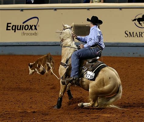 415 best images about bull riders / rodeo on Pinterest | Barrel horse ...