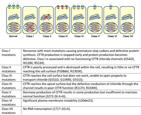 Genetics – Cystic Fibrosis Medicine