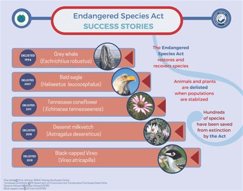 Endangered Species Act Success Stories - Endangered Species Coalition